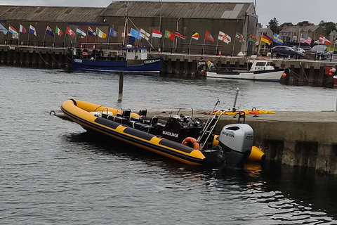 Fort William: 1hr Loch Safari Speedboat Tour