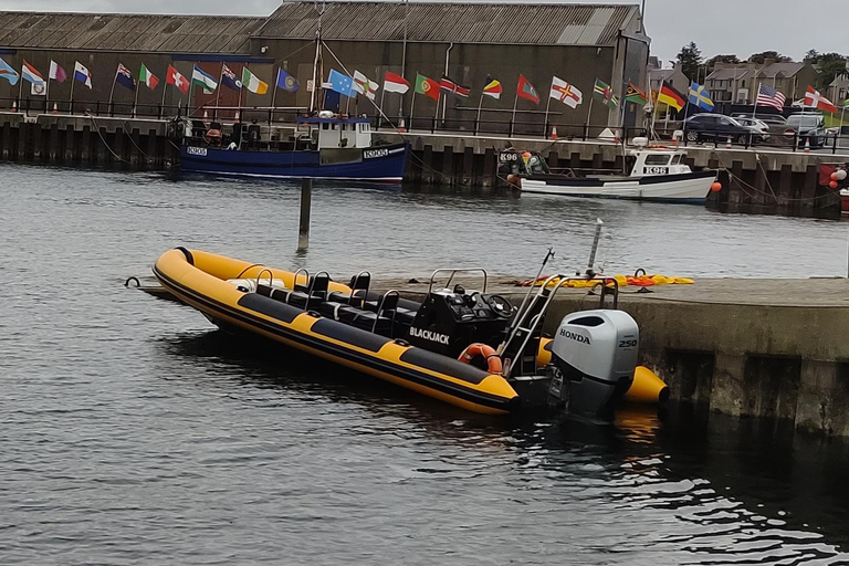 Fort William: 1hr Loch Safari Speedboat Tour