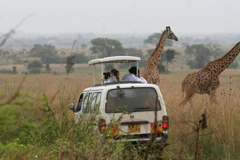 Nairobi national park, elephant orphanage giraffe center