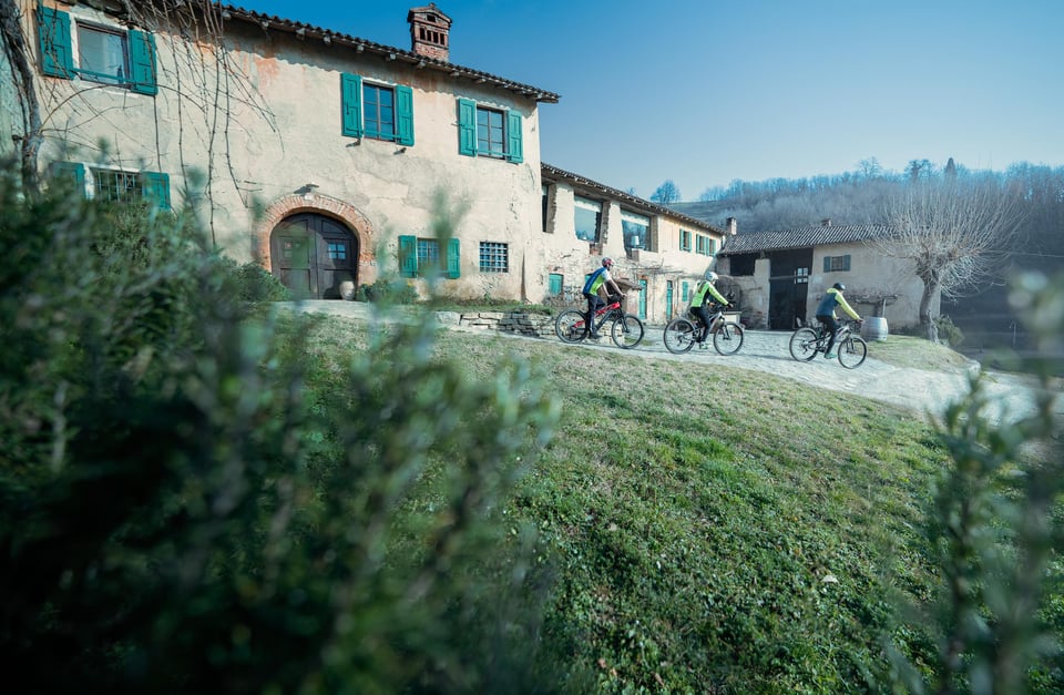 Montevecchia: E-Bike-Tour durch die Weinberge mit möglicher Verkostung Montevecchia: ...
