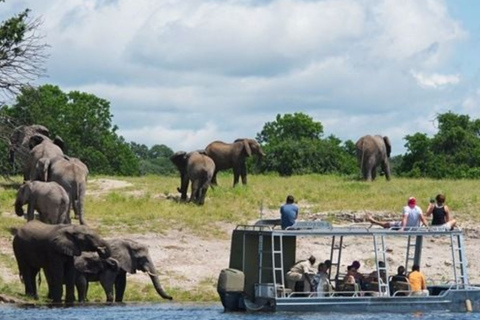 Victoria Falls: Chobe National Park Safari & River Cruise