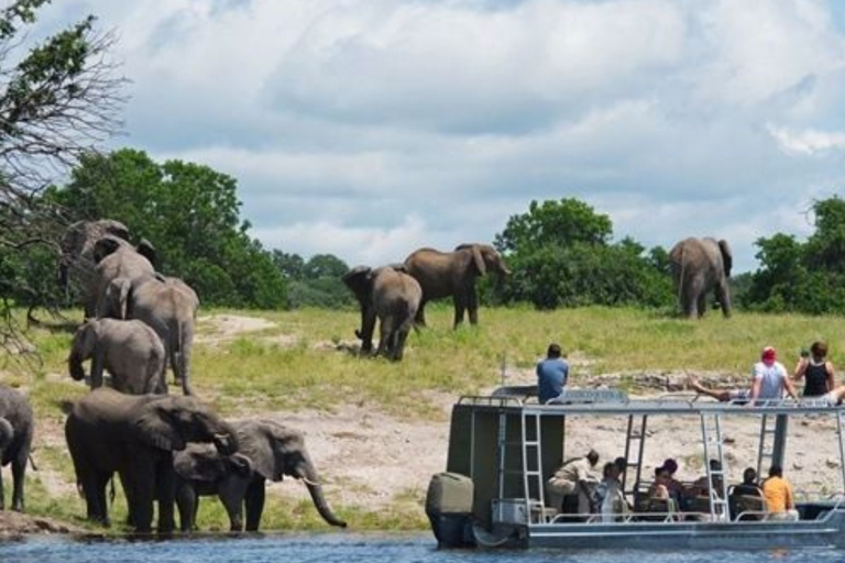 Victoria Falls: Chobe National Park Safari & River Cruise