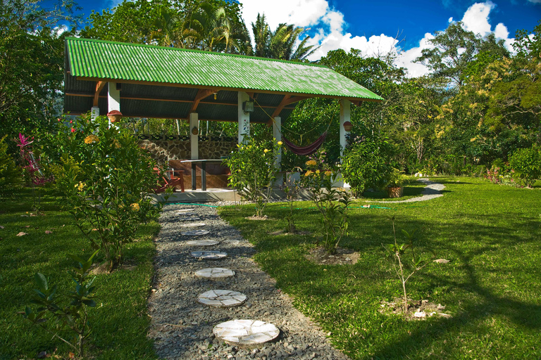 رحلة خاصة ليوم واحد: المرتفعات الدومينيكية وثقافة التاينورحلة خاصة ليوم واحد إلى المرتفعات الدومي