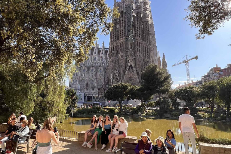 Upptäck Sagrada Familia: Gaudís design och utställningar på museum