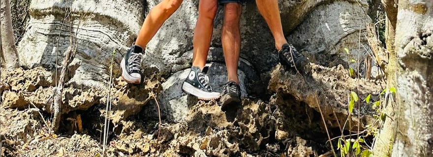 Antsiranana : visite des baobabs et les trois baies pour croisiéristes