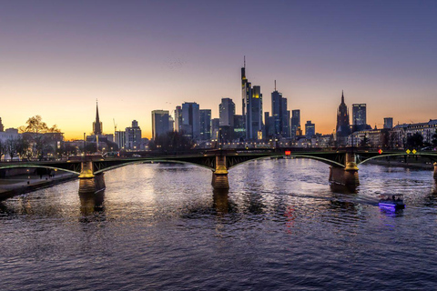 Private Family Walking Tour in Frankfurt