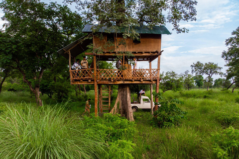 From Kathmandu/Pokhara: Bardiya National Park 4-Days Tour From Pokhara: Bardiya National Park 4-Days Tour