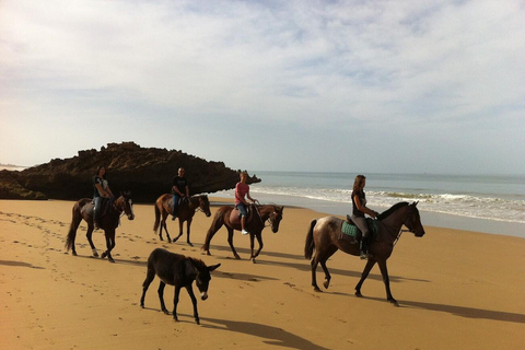 Agadir/ Taghazout : 2 heures de randonnée à cheval sur la plageRandonnée à cheval à Taghazout