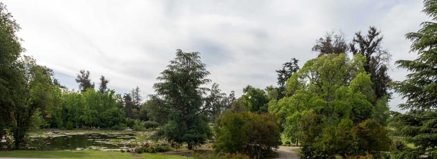 VISITE GUIDÉE DU CENTRE DU VIN (SANS MUSÉE SENSORIEL)
