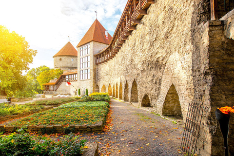 Tallinn: Guida audioguida per tour panoramici con 10 punti di interesse.