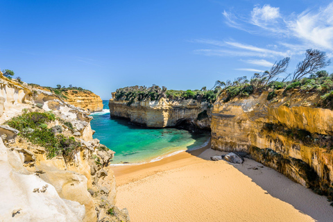 2-Day Private Premium Great Ocean Road Tour