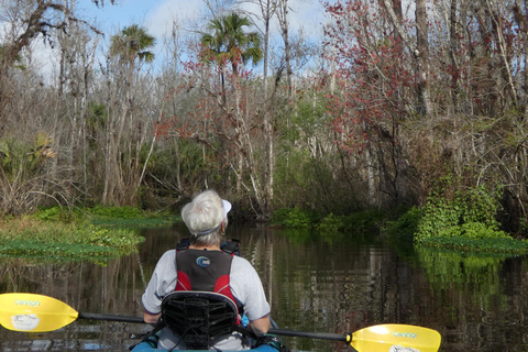 Blackwater Creek: Exclusive Nature Escape Kayak Adventure Blackwater Creek: Exclusive Wilderness Kayak Adventure