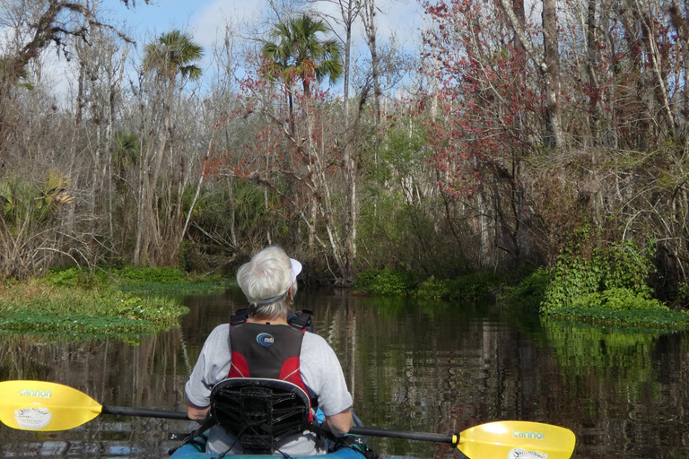 Blackwater Creek: Exclusive Nature Escape Kayak Adventure Blackwater Creek: Exclusive Wilderness Kayak Adventure