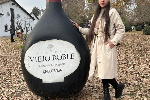 Maipo Valley Wine Tour, Santa Rita And Undurraga From STGO