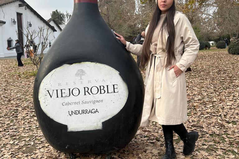 Maipo Valley Wine Tour, Santa Rita And Undurraga From STGO