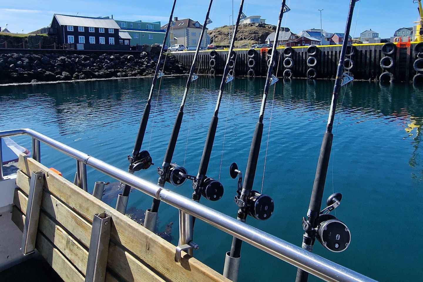 Stykkishólmur: Sea Angling Tour with Local Guide