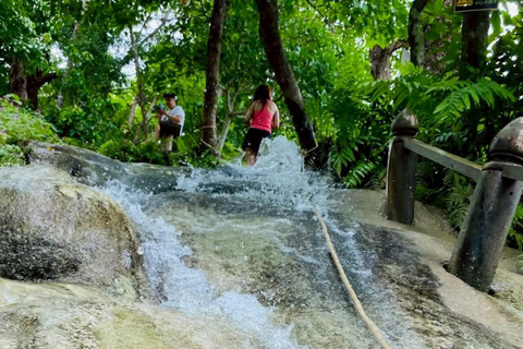 Chiang Mai: Afternoon Bua Tong Sticky Waterfall by Red Taxi