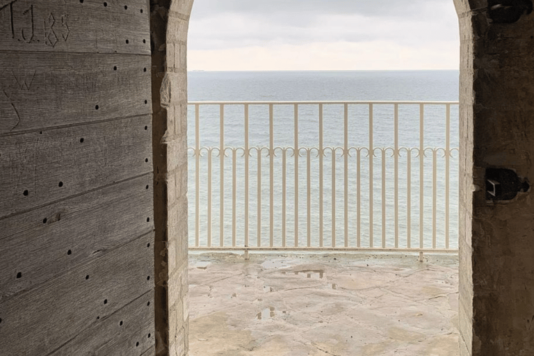 Tour del sito UNESCO di Stevns Klint e della torre della foresta da Copenaghen