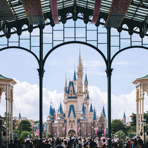 Tokyo Disneyland: 1-Day Entry Ticket and Private Transfer