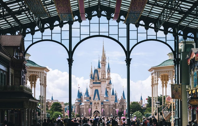 Tokyo Disneyland: 1-Day Entry Ticket and Private Transfer