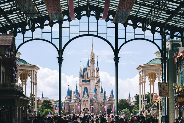 Tokyo Disneyland: 1-Tages-Ticket und privater Transfer