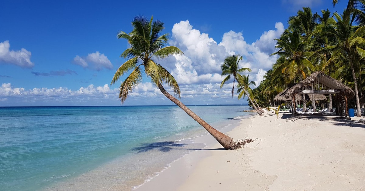 Saona Island Day Trip + Lobsters Included | GetYourGuide