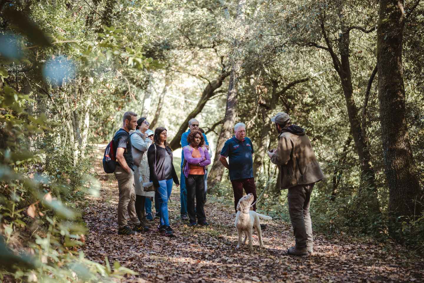 Florence: San Gimignano, Truffle Hunt, Wine Tasting, & Lunch