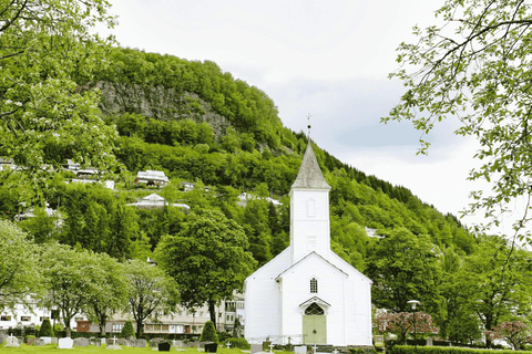 Wycieczka z przewodnikiem: Hardangerfjord, wodospady i przeprawa promem