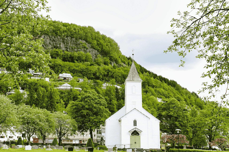 Wycieczka z przewodnikiem: Hardangerfjord, wodospady i przeprawa promem