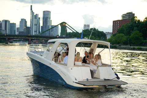 Frankfurt am Main: Private boat tour for up to 10 guests with skyline view
