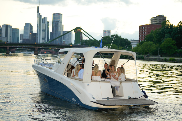 Frankfurt am Main: Private boat tour for up to 10 guests with skyline view