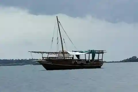 Alquila un dhow para hacer snorkel, ver delfines y visitar Wasini