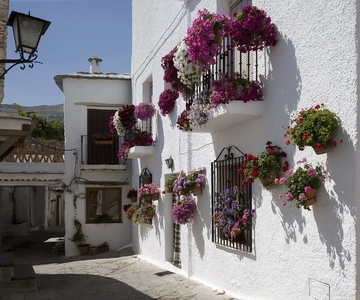 From Granada: Alpujarra Mountain Villages Tour