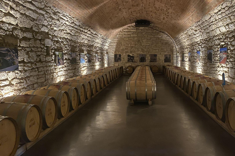 From Iași: Chișinău & Castel Mimi Tour with Wine Tasting