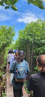 Mangroves Green Escapes by Discovery Center, Kep West - Housity
