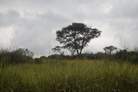 Murchison Falls National Park: 2 Day safari with Boat Cruise