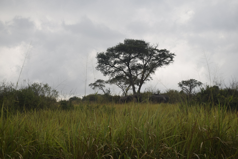 Parc des chutes de Murchison : safari de 3 jours avec le sanctuaire des rhinocéros de Ziwa