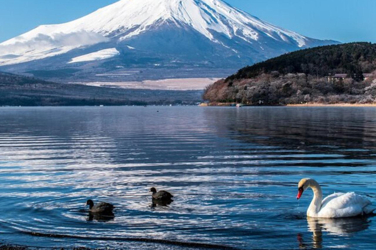 Z Tokio: Prywatna jednodniowa wycieczka na górę Fuji w luksusowym Land CruiserzePrywatna jednodniowa wycieczka krajoznawcza na górę Fuji luksusową Toyotą Crown