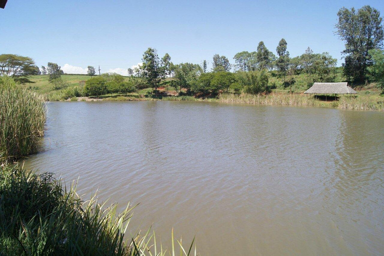 Nairobi: Evergreen Park Guided Tour With Entrance Fee