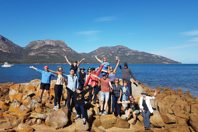 6 Day Taste of Tasmania Tour Private room shared bathroom 1 person