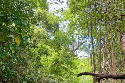 Rincon Beach och Cayo Levantado från Punta Cana