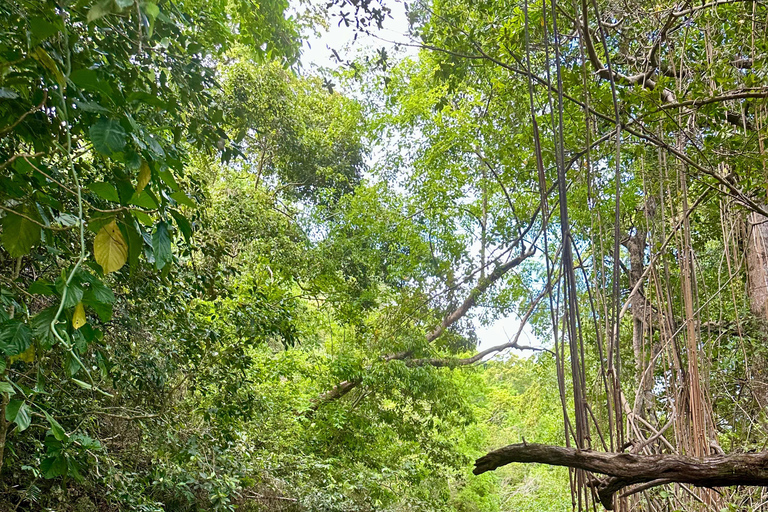 Rincon Beach och Cayo Levantado från Punta Cana
