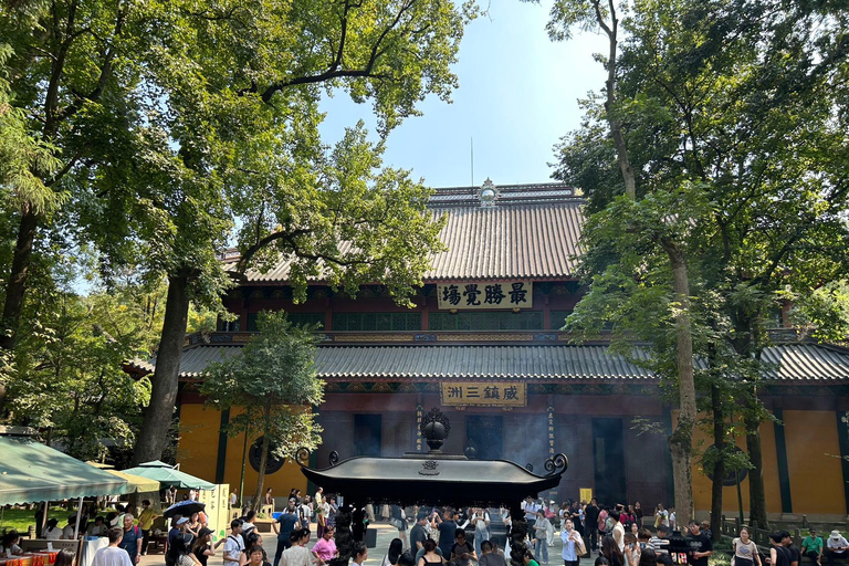 جولة خاصة شاملة كلياً في أبرز معالم مدينة شنغهايAll Inclusive Tour