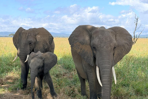 From Zanzibar: Mikumi National Park Fly-In Safari with Lunch