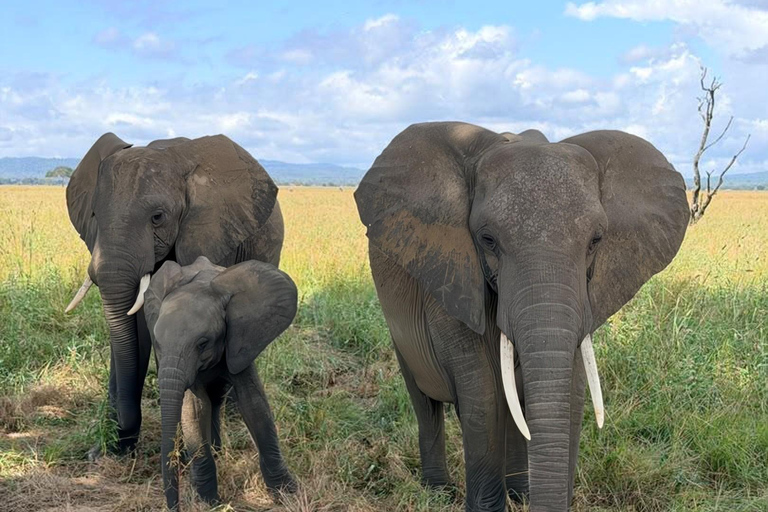 From Zanzibar: Mikumi National Park Fly-In Safari with Lunch