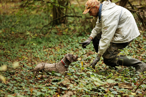 Zagreb Private Truffle Hunting Tour