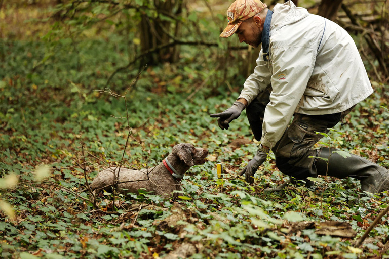 Zagreb Private Truffle Hunting Tour