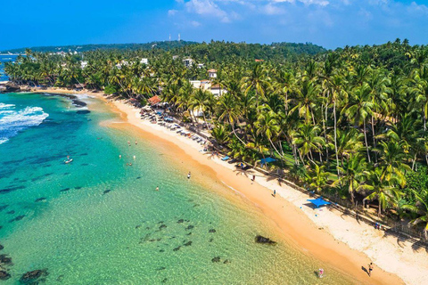 Mirissa: Whale watching day trip from Colombo and Ahungalla Pick up from Kosgoda, Ahungalla, Bentota, Beruwala, Kalutara