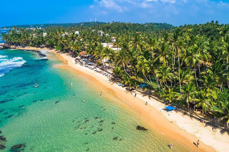 Mirissa: Whale watching day trip from Colombo and Ahungalla Pick up from Kosgoda, Ahungalla, Bentota, Beruwala, Kalutara