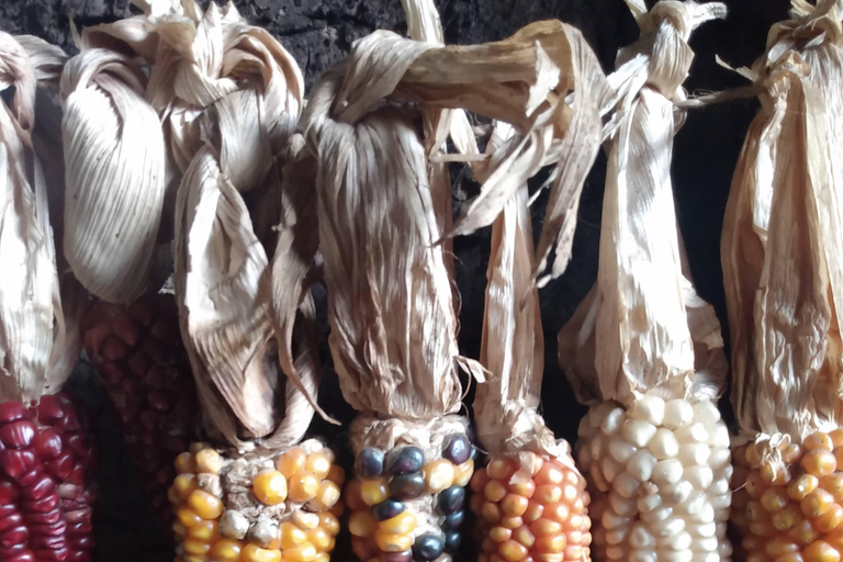 San Cristobal Culinary Experience: Flavors, Stories and Local Culture